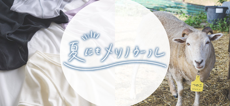 夏にもメリノウール